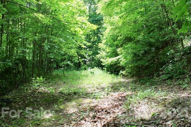 Property image 2 at 402 Loveland Drive, Maggie Valley, NC 28751