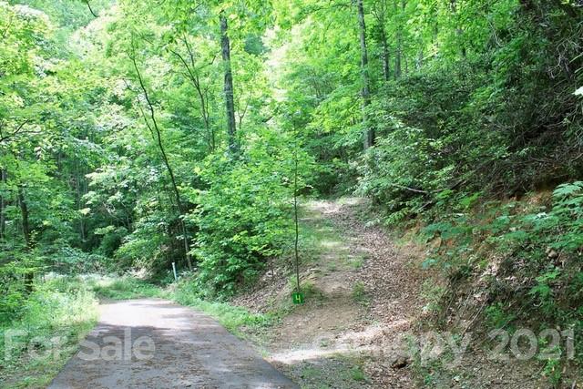 Property image 3 at 402 Loveland Drive, Maggie Valley, NC 28751