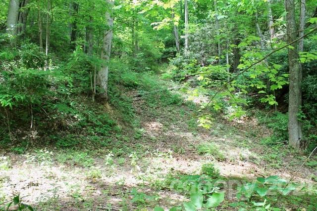 Property image 5 at 402 Loveland Drive, Maggie Valley, NC 28751