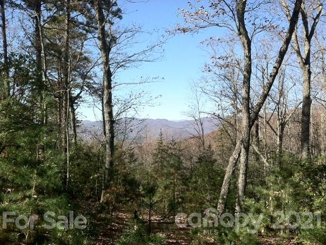Property image 2 at 0 Western Meander Road, Union Mills, NC 28167
