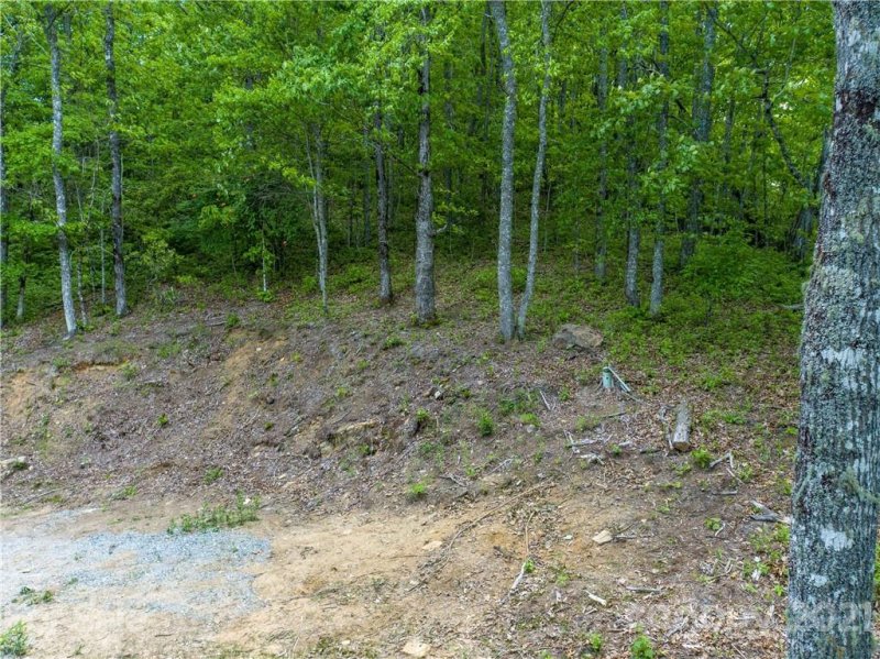 Property image 4 at Lt 5a Von Trapp Lane, Tuckasegee, NC 28783