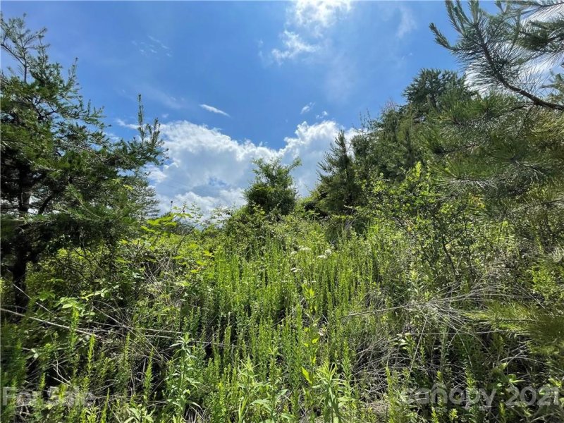 Property image 4 at 99999 Highland Creek Drive, Marshall, NC 28753