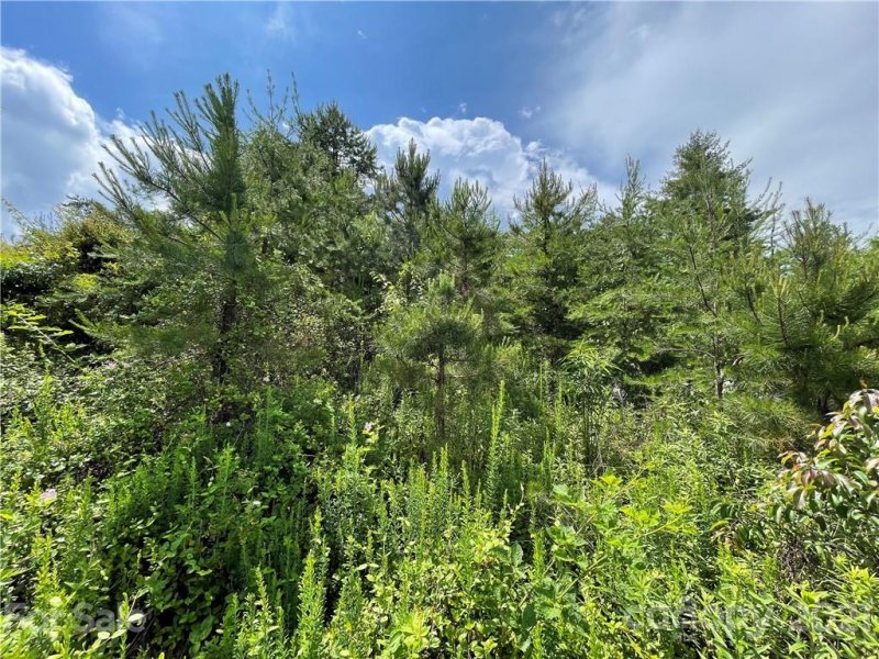 Property image 5 at 99999 Highland Creek Drive, Marshall, NC 28753