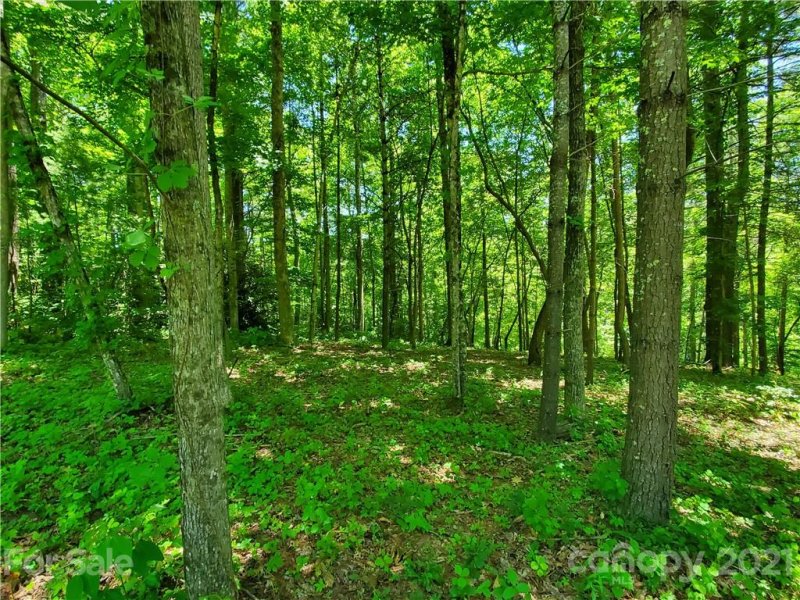 Property image 4 at 47 Trail Top Drive, Asheville, NC 28805