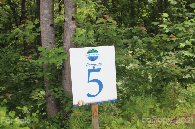 Property image 3 of 2202 Island View Lane in Island Pointe at Lake Vistas, Connelly Springs, NC 28612