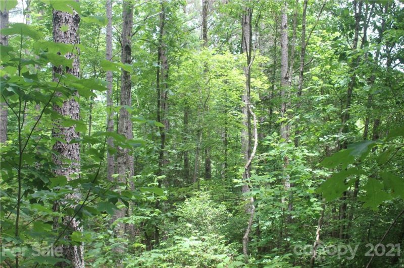 Property image 5 of 2202 Island View Lane in Island Pointe at Lake Vistas, Connelly Springs, NC 28612