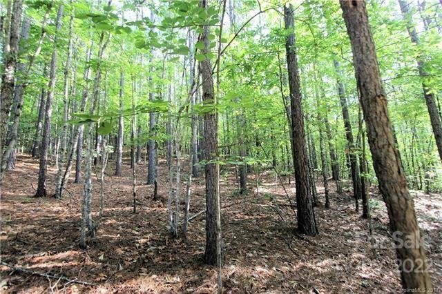 Property image 4 of 0 Chasewood Drive in Deer Run at Lake Lure, Rutherfordton, NC 28139