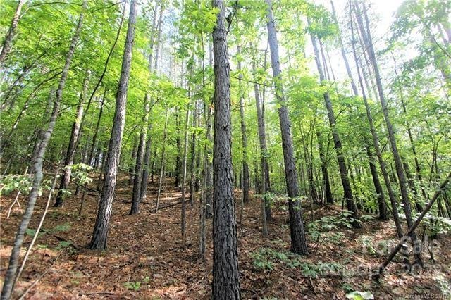 Property image 5 of 0 Chasewood Drive in Deer Run at Lake Lure, Rutherfordton, NC 28139