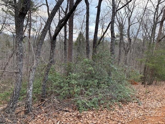 Property image 2 of 301 Otter Lane in Riverbend at Lake Lure, Lake Lure, NC 28746