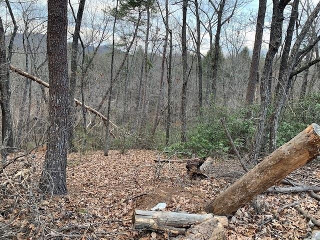 Property image 5 of 301 Otter Lane in Riverbend at Lake Lure, Lake Lure, NC 28746