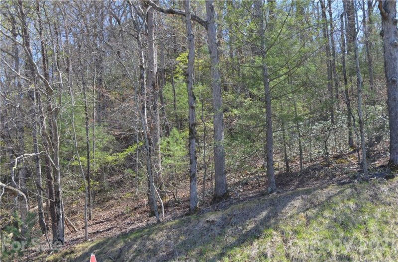 Property image 5 at 34 Messersmith Road, Lake Lure, NC 28746