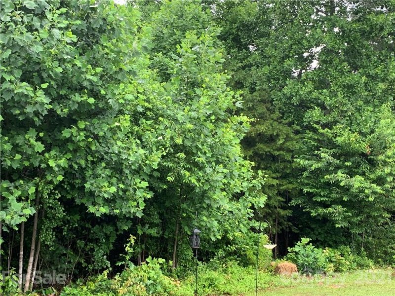 Property image 3 at 3004 Conner Circle, Morganton, NC 28655