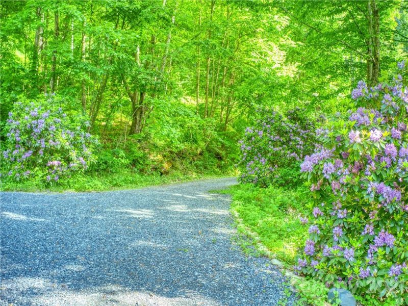 Property image 4 at 1031 Hyacinth Drive, Clyde, NC 28721