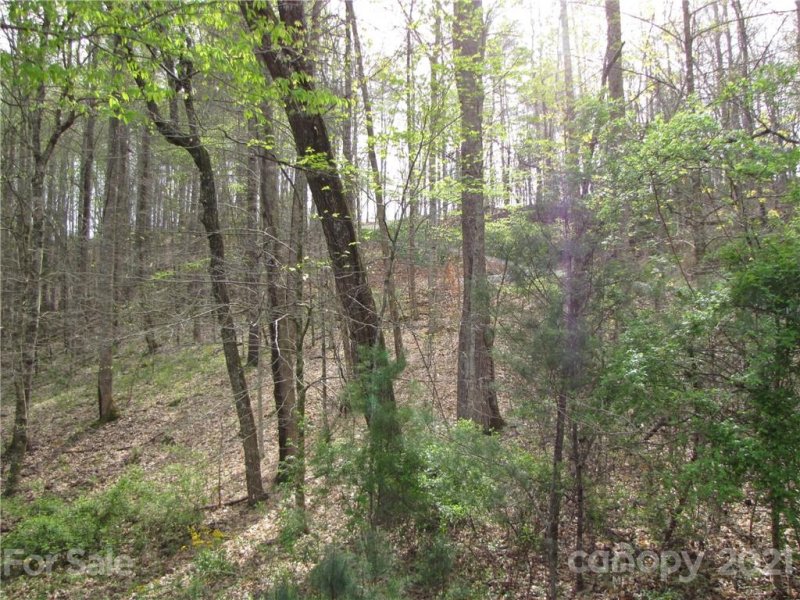 Property image 4 at 67 Nicole Place, Mars Hill, NC 28754