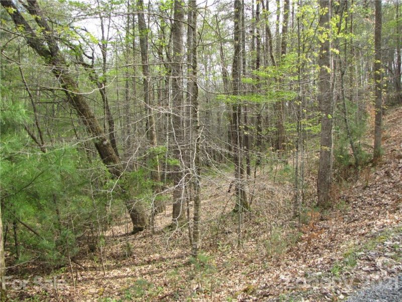 Property image 5 at 67 Nicole Place, Mars Hill, NC 28754