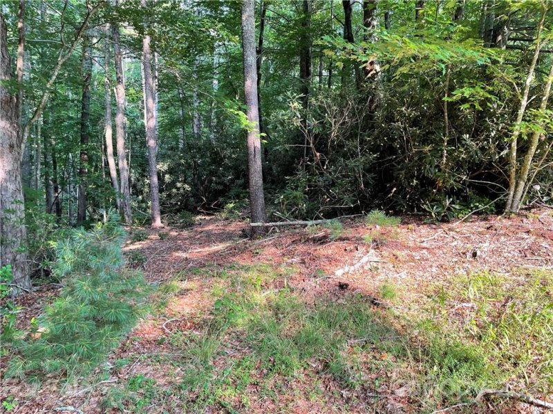 Property image 4 at Lot 124 C Lake Lane, Brevard, NC 28712