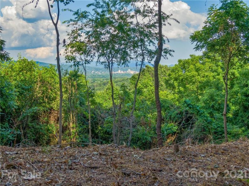 Property image 2 at 28 Bird S Eye View Road, Asheville, NC 28806