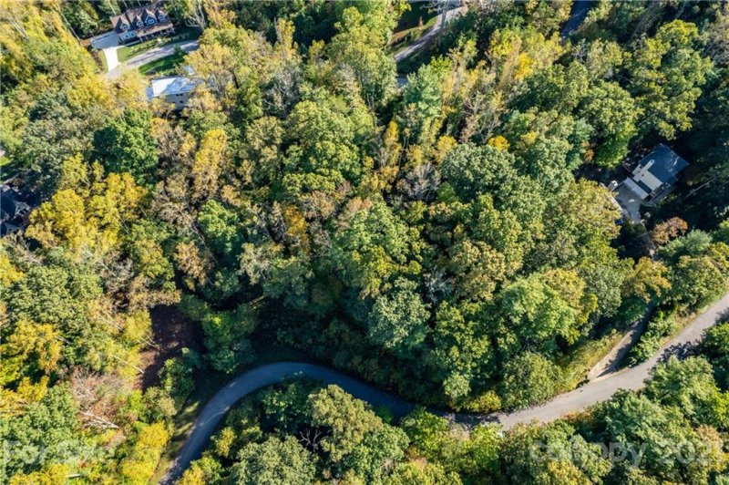 Property image 4 at 34 Forest Spring Drive, Asheville, NC 28804