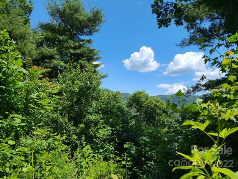 Property image 2 of 99999 Black Oak Drive in The Forest, Asheville, NC 28804