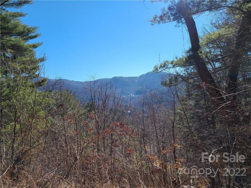 Property image 3 of 99999 Black Oak Drive in The Forest, Asheville, NC 28804