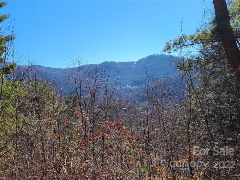 Property image 4 of 99999 Black Oak Drive in The Forest, Asheville, NC 28804