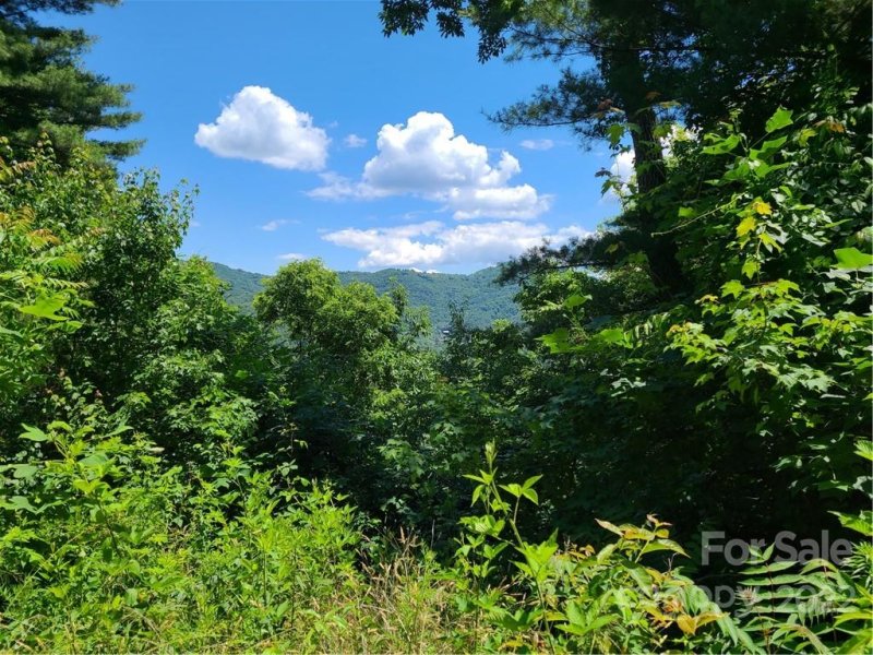 Property image 5 of 99999 Black Oak Drive in The Forest, Asheville, NC 28804