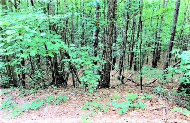 Property image 2 of 0 Chasewood Drive in Deer Run at Lake Lure, Rutherfordton, NC 28139