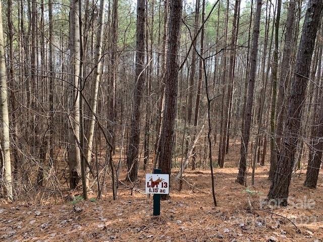 Property image 3 of 0 Chasewood Drive in Deer Run at Lake Lure, Rutherfordton, NC 28139