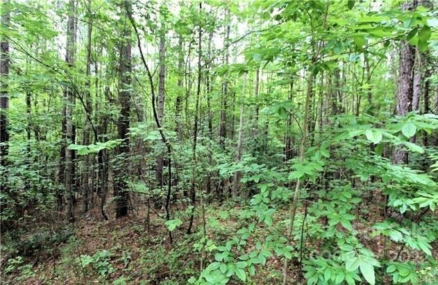 Property image 4 of 0 Chasewood Drive in Deer Run at Lake Lure, Rutherfordton, NC 28139