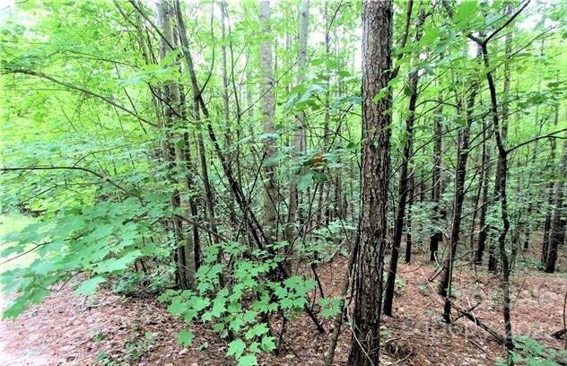 Property image 5 of 0 Chasewood Drive in Deer Run at Lake Lure, Rutherfordton, NC 28139