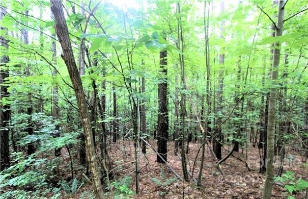 Property image 2 of 0 Chasewood Drive in Deer Run at Lake Lure, Rutherfordton, NC 28139