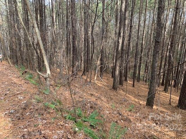 Property image 3 of 0 Chasewood Drive in Deer Run at Lake Lure, Rutherfordton, NC 28139