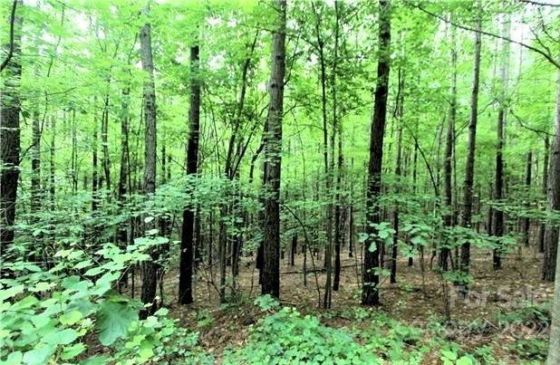 Property image 4 of 0 Chasewood Drive in Deer Run at Lake Lure, Rutherfordton, NC 28139