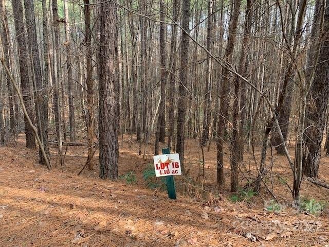 Property image 5 of 0 Chasewood Drive in Deer Run at Lake Lure, Rutherfordton, NC 28139