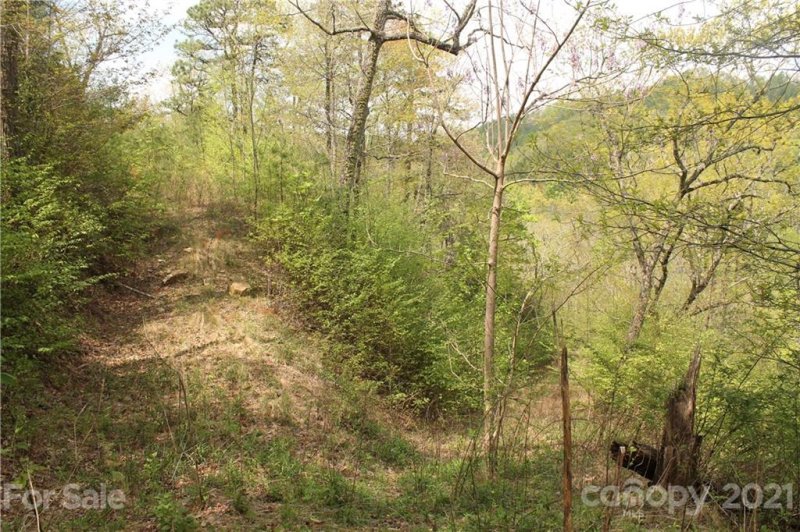 Property image 3 at 0 Shiners Ridge, Almond, NC 28702