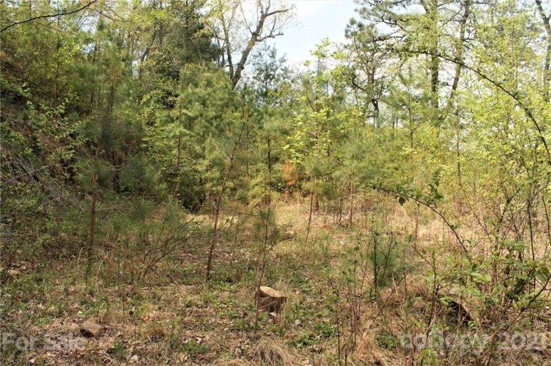 Property image 4 at 0 Shiners Ridge, Almond, NC 28702