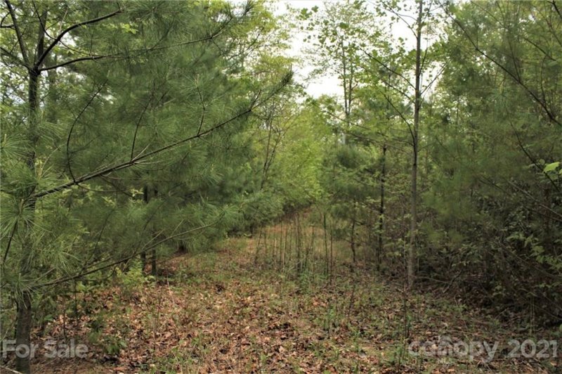 Property image 5 at 0 Shiners Ridge, Almond, NC 28702