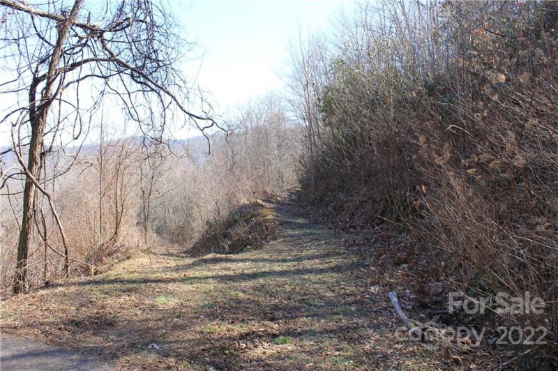 Property image 3 at 391 Valley View Drive, Maggie Valley, NC 28751