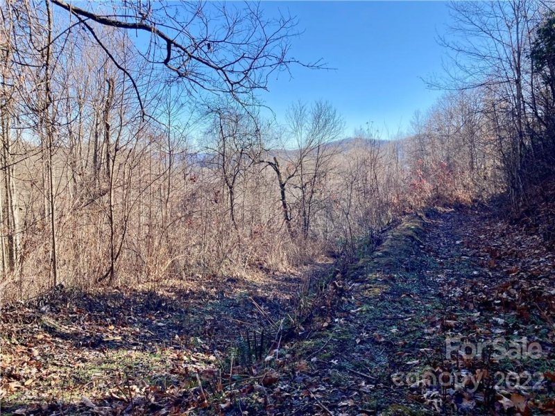 Property image 5 at 391 Valley View Drive, Maggie Valley, NC 28751