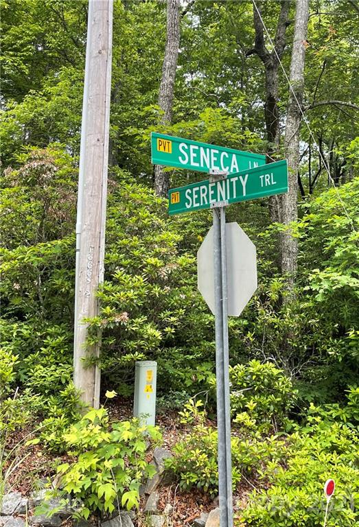 Property image 2 at 000 Serenity Trail, Rosman, NC 28772