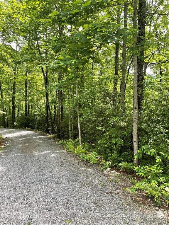 Property image 5 at 000 Serenity Trail, Rosman, NC 28772