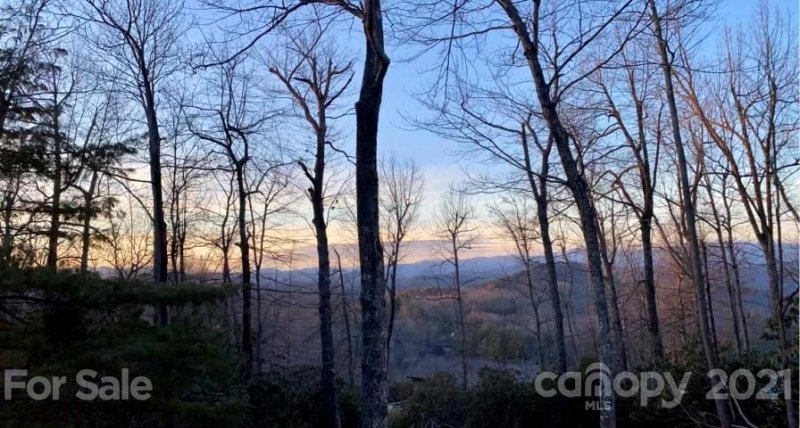Property image 3 at 514 Upland Road, Brevard, NC 28712