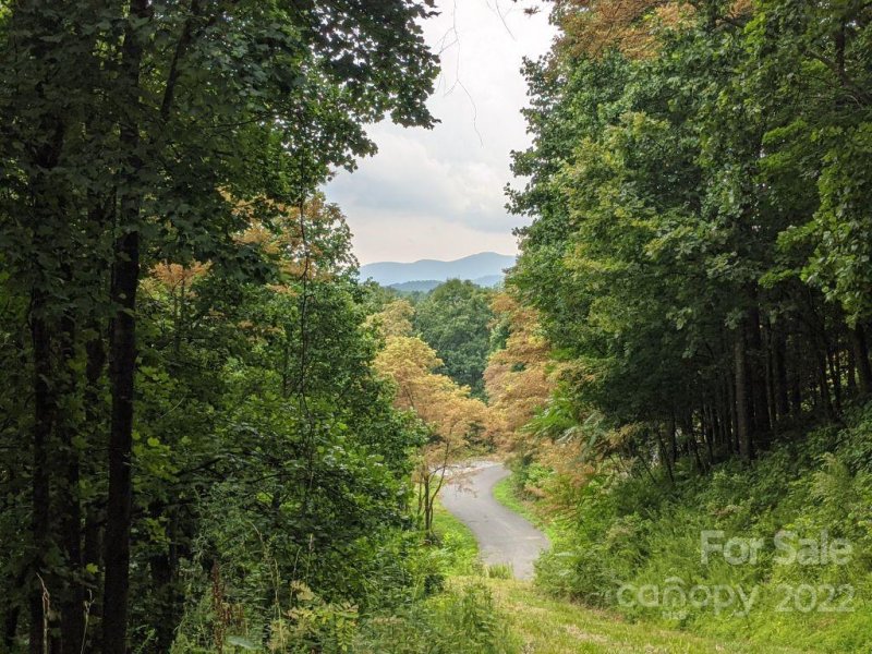 Property image 3 at T 62 501 Warbler Lane, Black Mountain, NC 28711