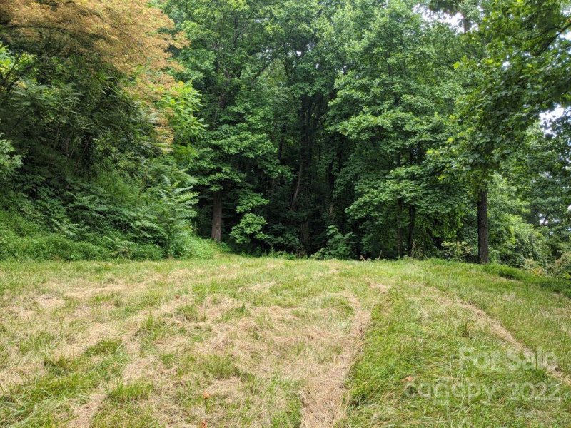 Property image 4 at T 62 501 Warbler Lane, Black Mountain, NC 28711