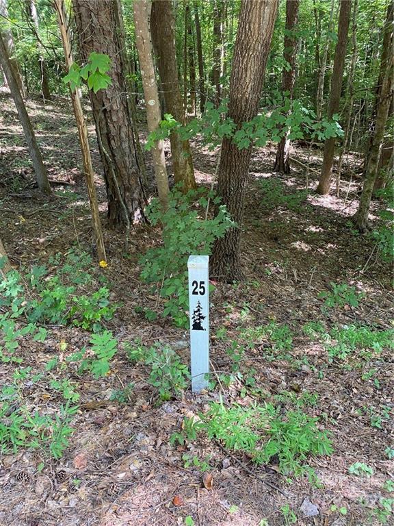 456 Countrywood Place