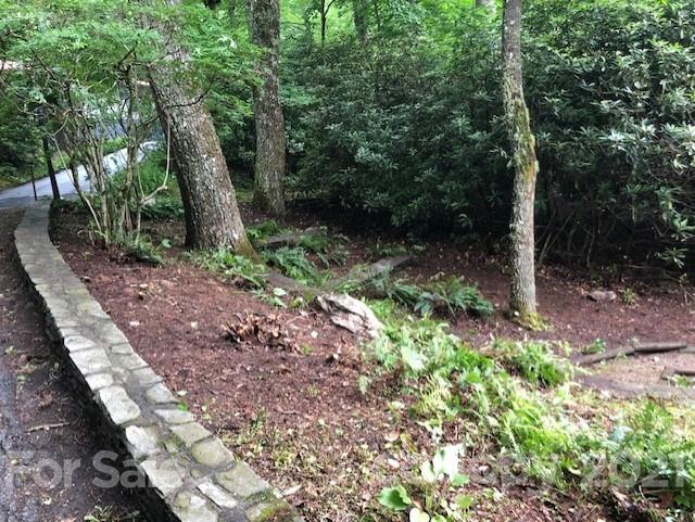 Property image 3 at 48 Spring Road, Spruce Pine, NC 28777