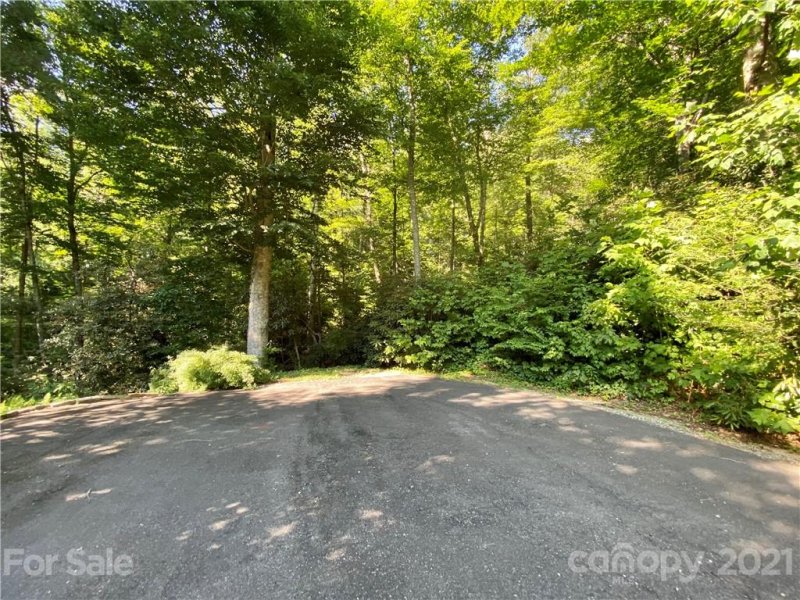 Property image 4 at 00000 Blue Rock Road, Hendersonville, NC 28792