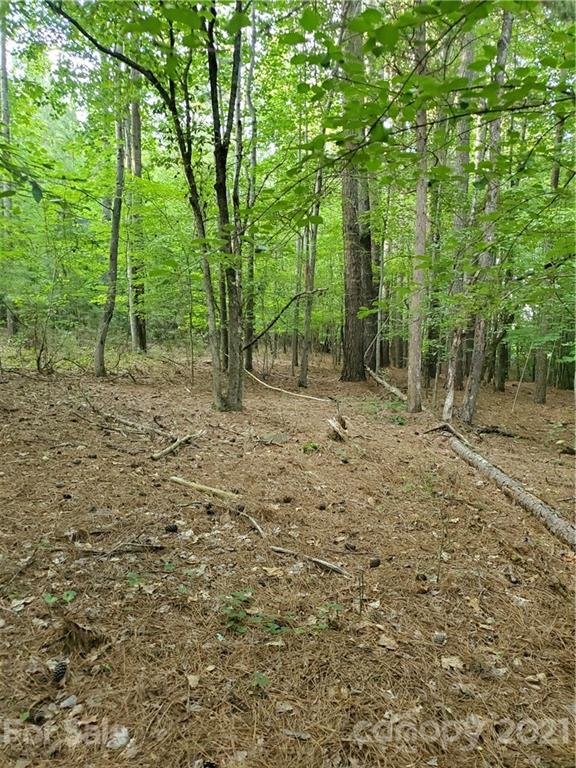 Property image 3 at Lot 42 Cornett Drive, Iron Station, NC 28080