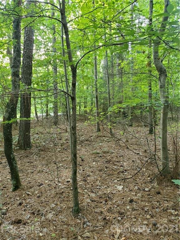 Property image 4 at Lot 43 Cornett Drive, Iron Station, NC 28080