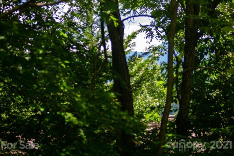 Property image 3 at 99999 Buena Vista Drive, Barnardsville, NC 28709